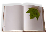 20091129202403-libro-mas-hoja.jpg